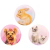 Belmil Patch Belmil Patches Mit Klettverschluss Set 3-teilig Cute Animals 7